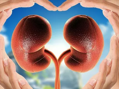 World Kidney Day: What You Need To Know About Kidney Disease And How You Can Prevent It