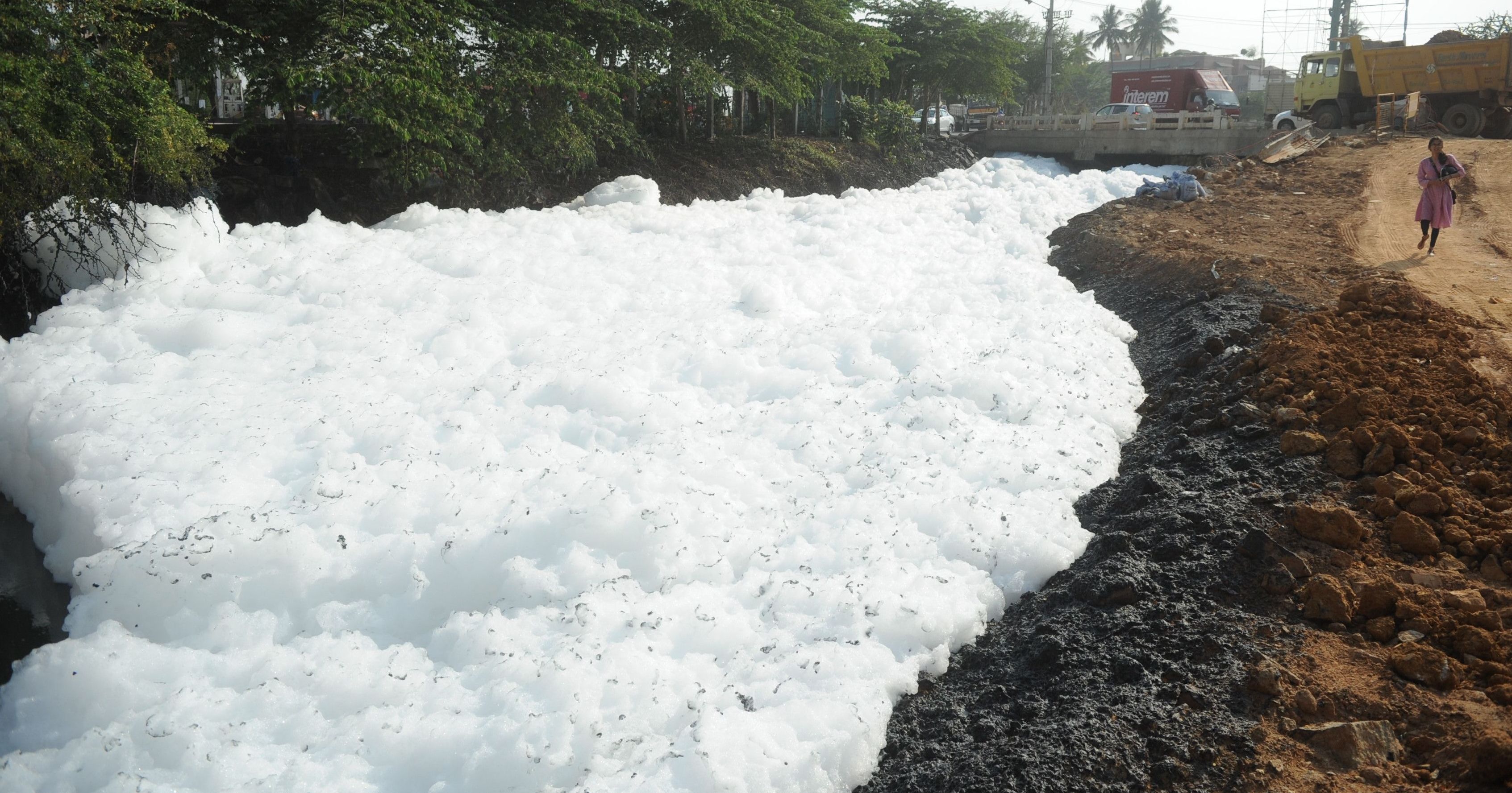 Bengaluru's Bellandur Lake Froths, Foam, Looks More Toxic Than Before