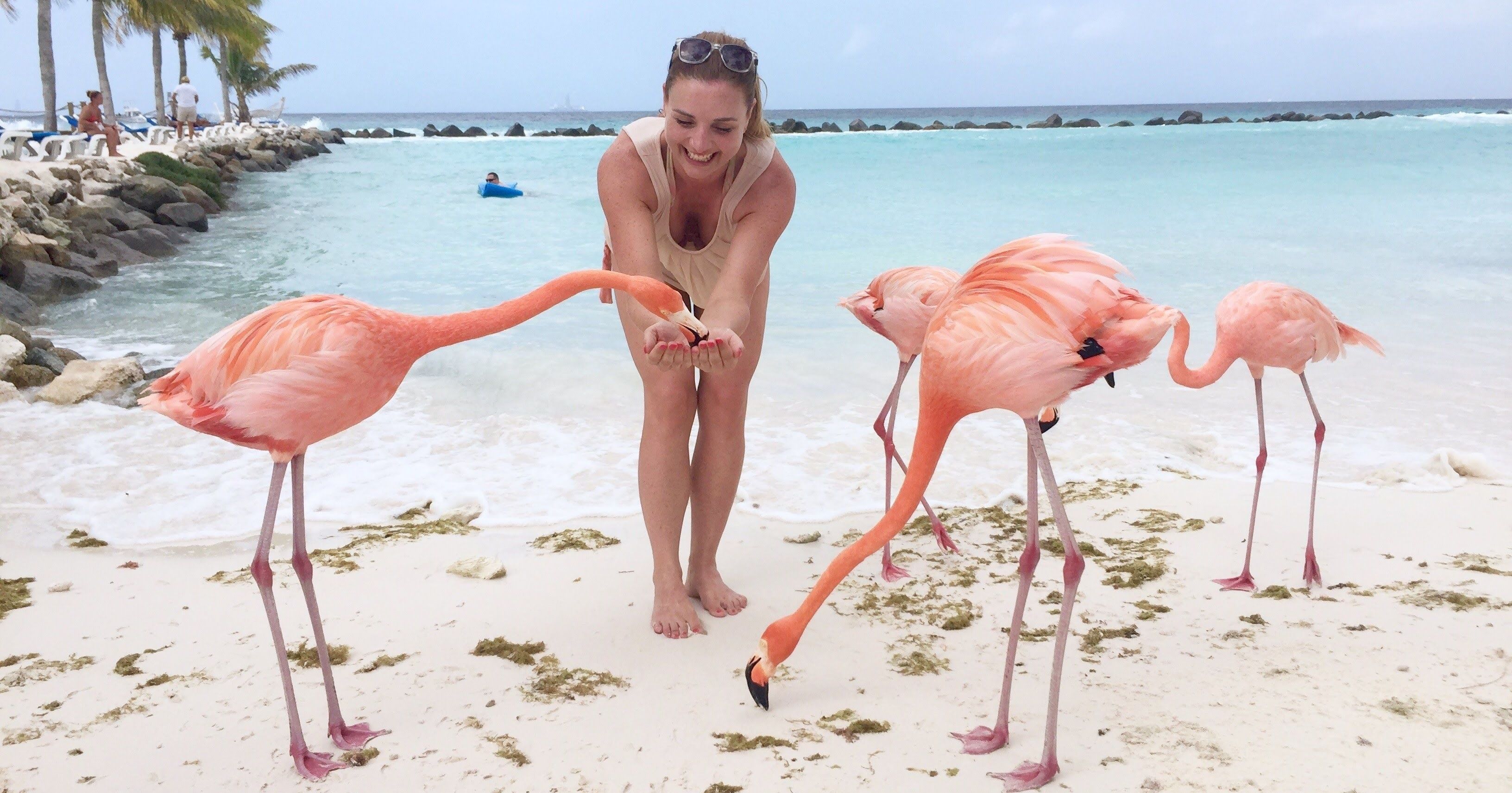 Slideshow flamingos nudes.