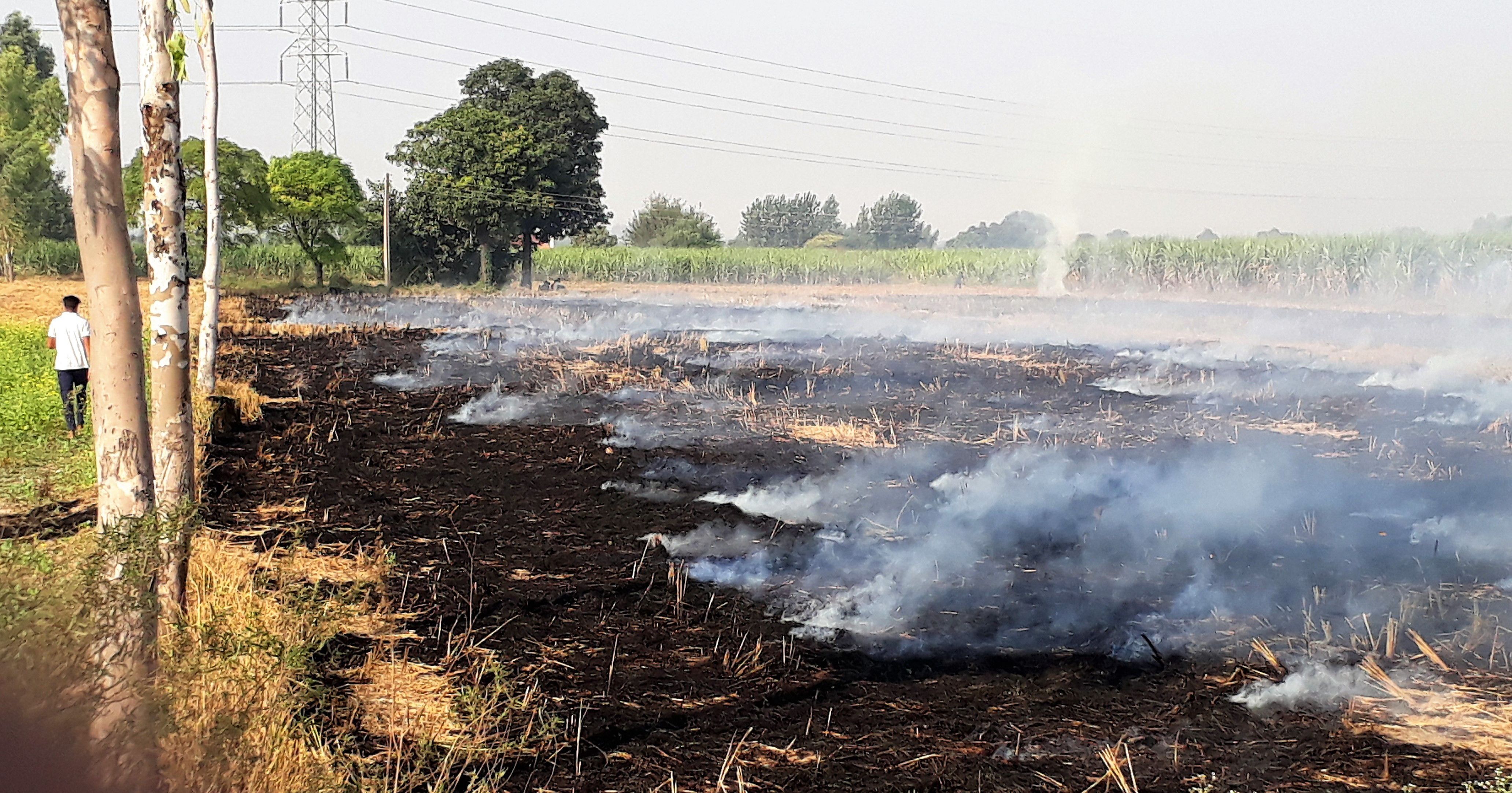 nasa-blames-stubble-burning-in-punjab-haryana-for-rise-in-pm2-5