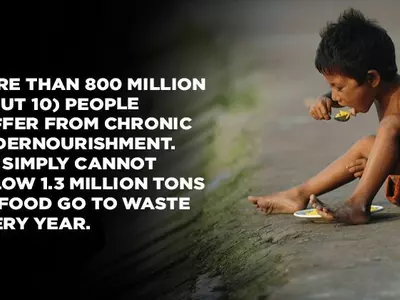 A Third Of All The Food In The World Is Wasted Before It Reaches The Plate