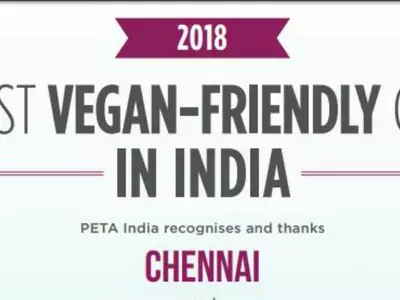 Chennai, Most Vegan City 2018, Tamil Nadu, eco-friendly, lifestyle, PETA, school, stores