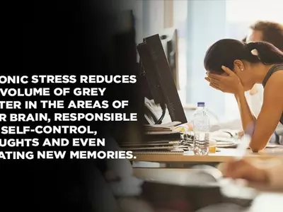 Do You Enjoy Your Work Yet Feel Extremely Stressed? You Might Be Experiencing A Brain Shrink