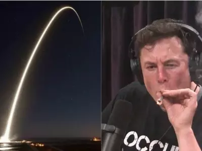 Elon Musk weed