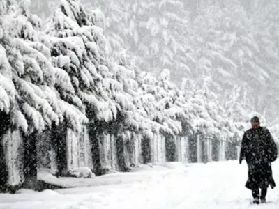 Kashmir At Its Romantic Best With Fresh Snowfall, Himachal Draped In White Blanket