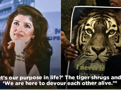 Linking Calvin & Hobbes To Tragic Avni Row, Twinkle Khanna Blogs About Killing Of Animals