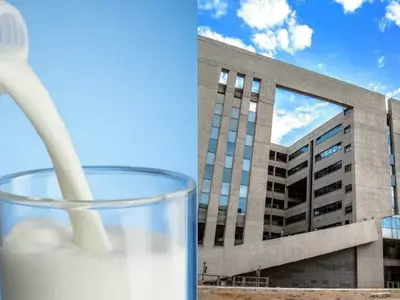 Milk adulteration, IIT Hyderabad, researchers, milk detection, smartphone app