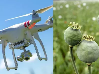 poppy cultivation, opium, narcotics trade, West Bengal, drones, excise officers, police