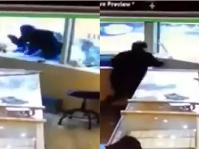 Robber, Canada, Swords, Kirpan, Employees save Jewellery Store