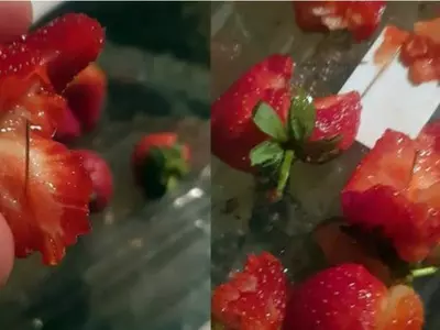 strawberry fruit scare, culprit, Australia, 50 year old woman, police, reward, arrest