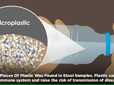 Tiny Bits Of Plastic That Less Than 5mm In Size Used In Products Are Lurking Inside Us All