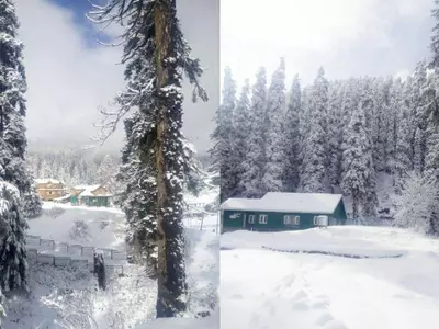 While It May Look Captivating, November Snowfall In Kashmir Declared 'Special Natural Calamity'