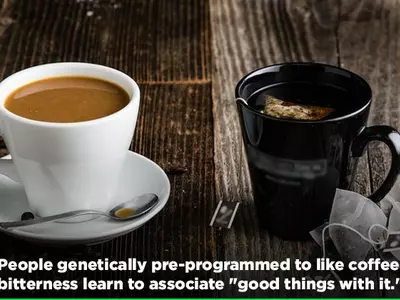 You’re Likely To Choose Coffee Over Tea If You’re More Sensitive To The Bitterness Of Caffeine