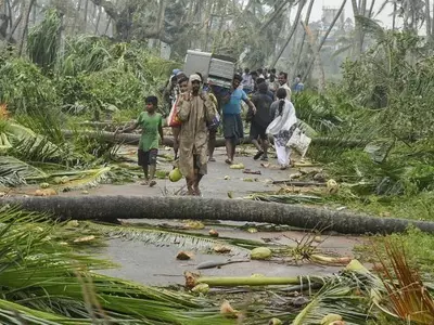 Cyclone Titli claims 12 lives.