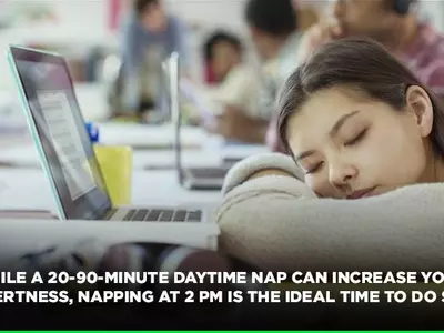 Daytime Naps Help You Make Challenging Decisions, Apart From Increasing Your Efficiency At Work