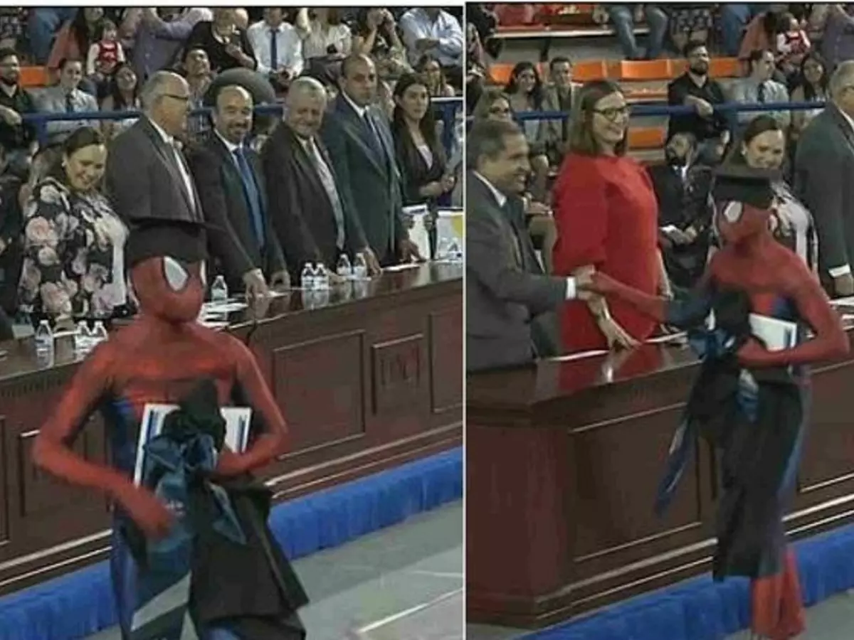 law law