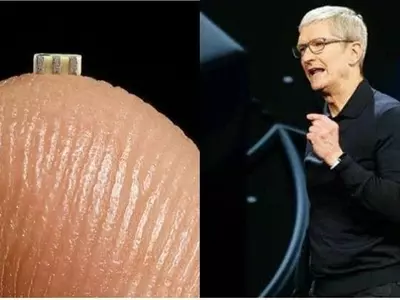 Microchip Apple