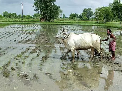monsoon farmers