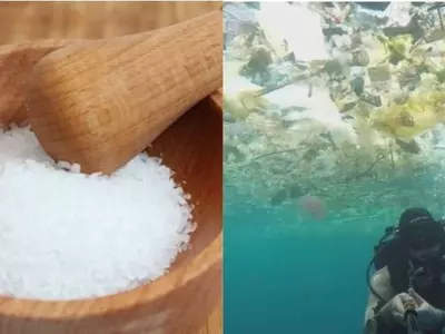 salt plastic