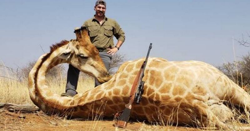 us-wildlife-official-gets-slammed-for-posing-with-dead-animals-he