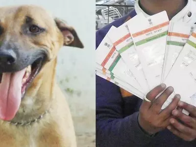 Aadhaar card, ration card, dog, madhya pradesh, dhar district, Narsingh Bodar