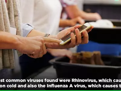 Did You Know That Airport Security Trays Carry More Disease-Causing Viruses Than Toilets?