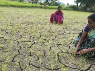 drought, artificial rainfall, Uttar pradesh, irrigation, IIT Kanpur, Bundelkhand region, ken river,
