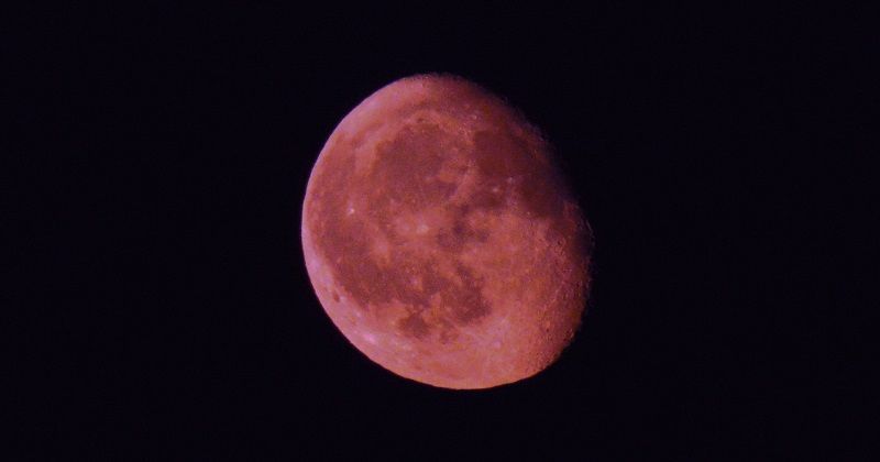 Missed The Super Blood Wolf Moon? There's A Pink Moon ...