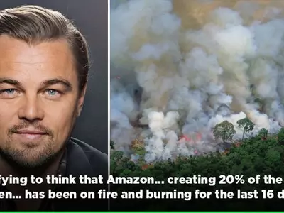 Amazon rainforest fire: Leonardo DiCaprios, Anushka Sharma and other celebs comment.