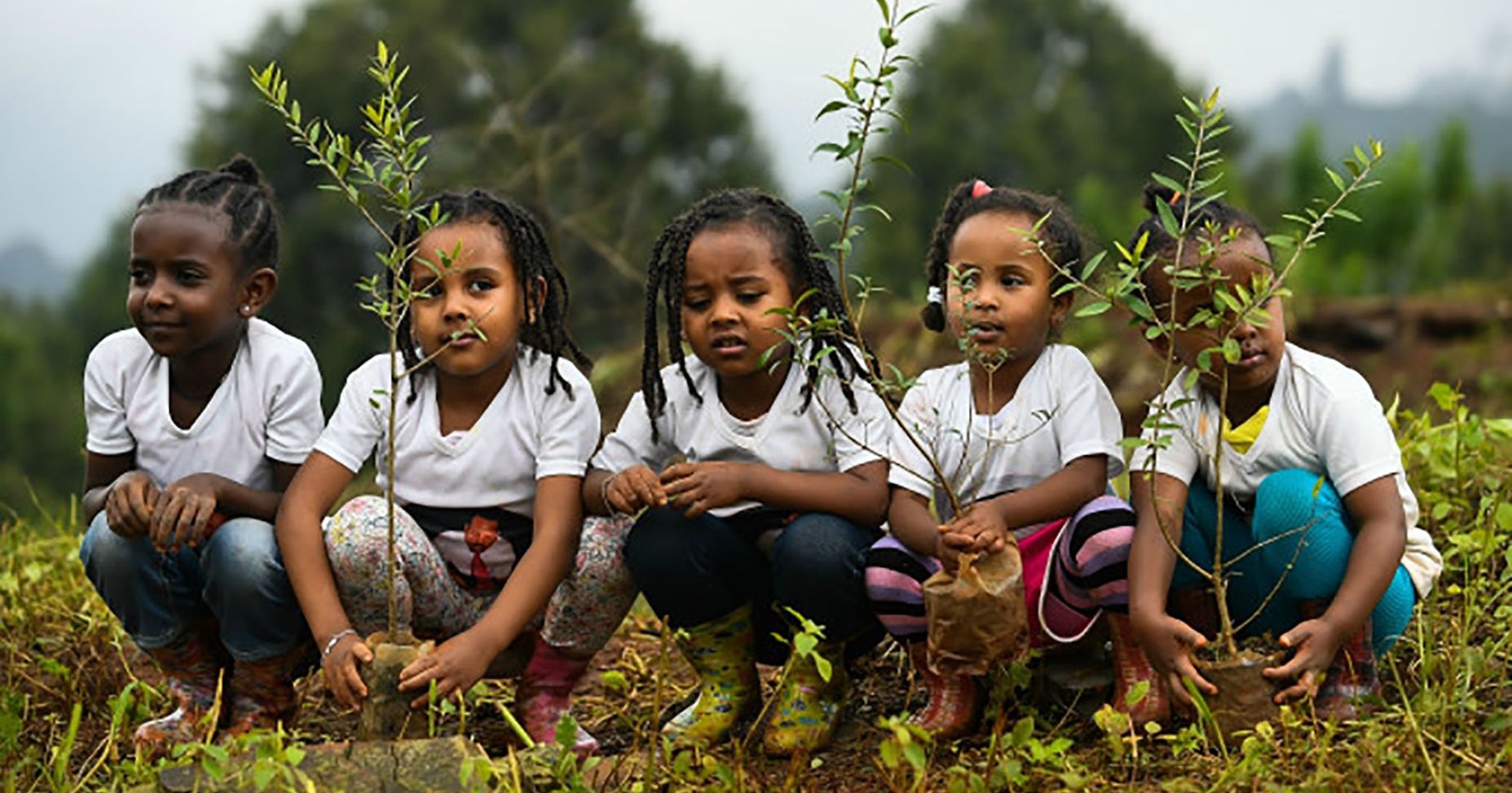 Ethiopia Goes On A Tree Planting Spree