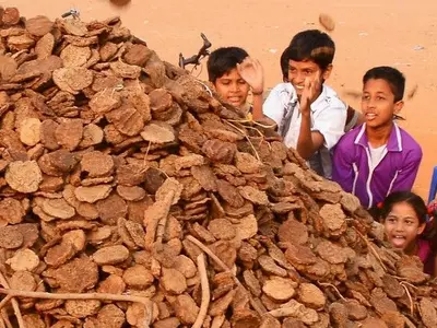 cow dung, Karnataka, Birur, Rs 1.25 lakh, theft, animal husbandry, police
