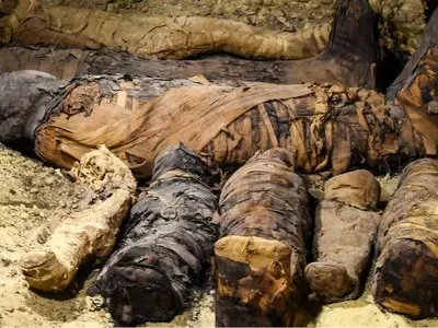 Egypt, Minya, south of Cairo, animals, human beings, Mummy, preservation, discovery