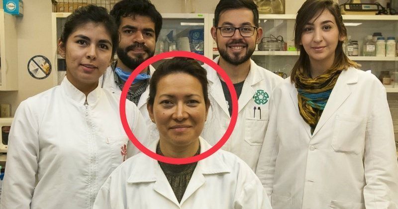 hpv virus cure mexican scientist)
