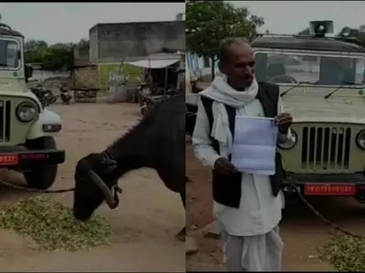 Madhya Pradesh, farmer, buffalo, bribe, Revenue department, Laxmi Yadav