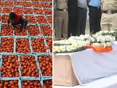 mp tomato farmers not exporting produce to pakistan