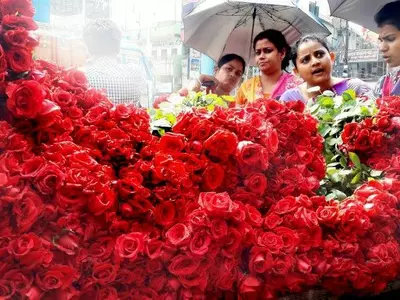 Rose production, revenue, valentine's day, Maval, Pune, farmers, export