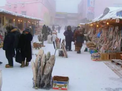 This Siberian City Is Selling Hard As Nails Fishes And Berries At -55 Degree Temperature