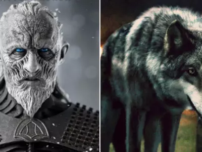 An Update On Game Of Thrones Prequel! Starks, Direwolves & White Walkers Will Definitely Be In It