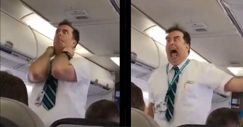 These Funny Flight Attendants Will Leave You In Splits 7559