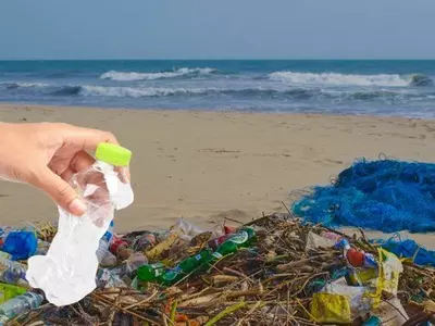 goa, plastic waste, plastic ban, beaches, tourism, goa plastic ban