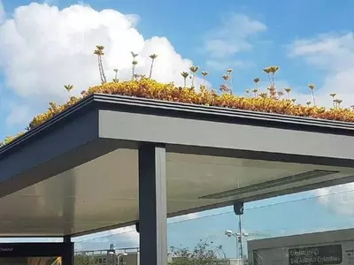 Green roof tops of bus stops.