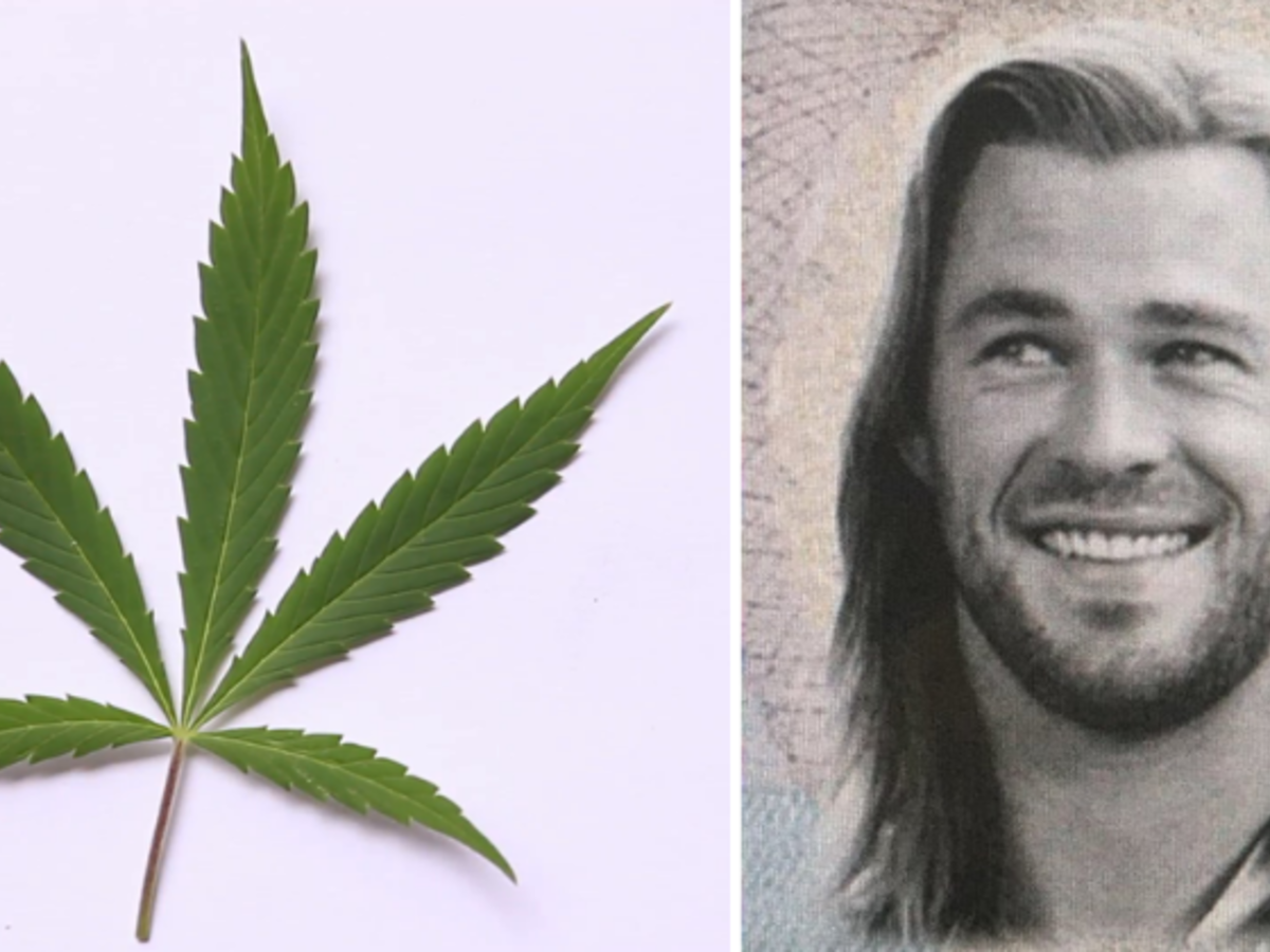 This Man In Canada Tried To Buy Weed Using Fake ID Of Thor & Left Everyone  Amused!