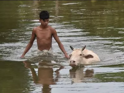 Thousands Affected In Assam Flood, Life Sentence For Mob Lynching In UP + More Top News