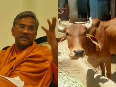 Uttarakhand CM Says Cow Only Animal To Inhale & Exhale Oxygen, Adds Massage A Cow Get Rid Of Breathi