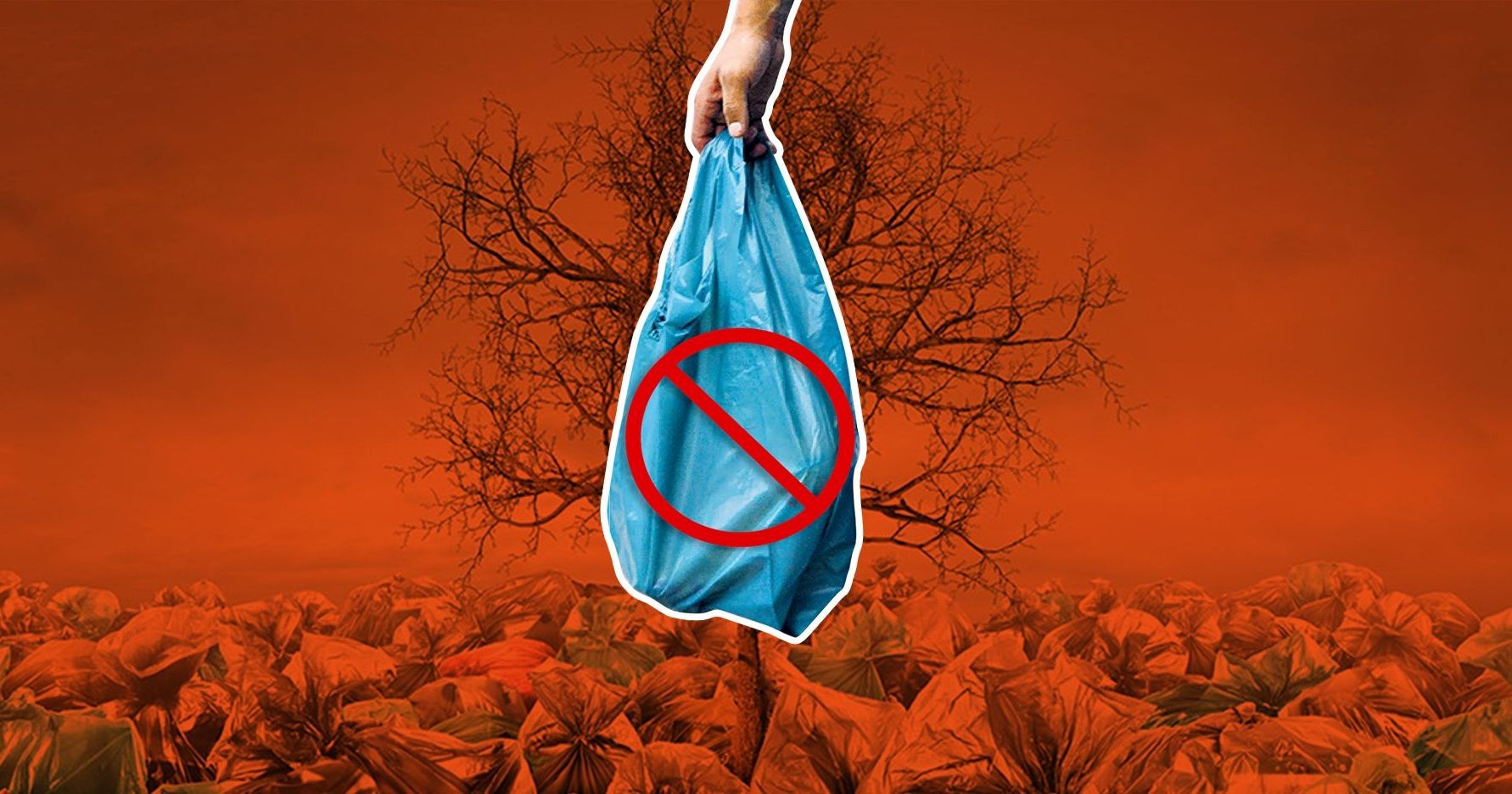 प्लास्टिक के विकल्प अपनाने की तैयारी में दुनिया! Plastic Alternatives