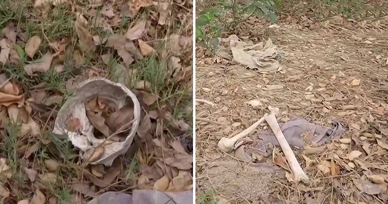 More Than 100 Human Skeletons Found Dumped Behind Muzaffarpur Hospital