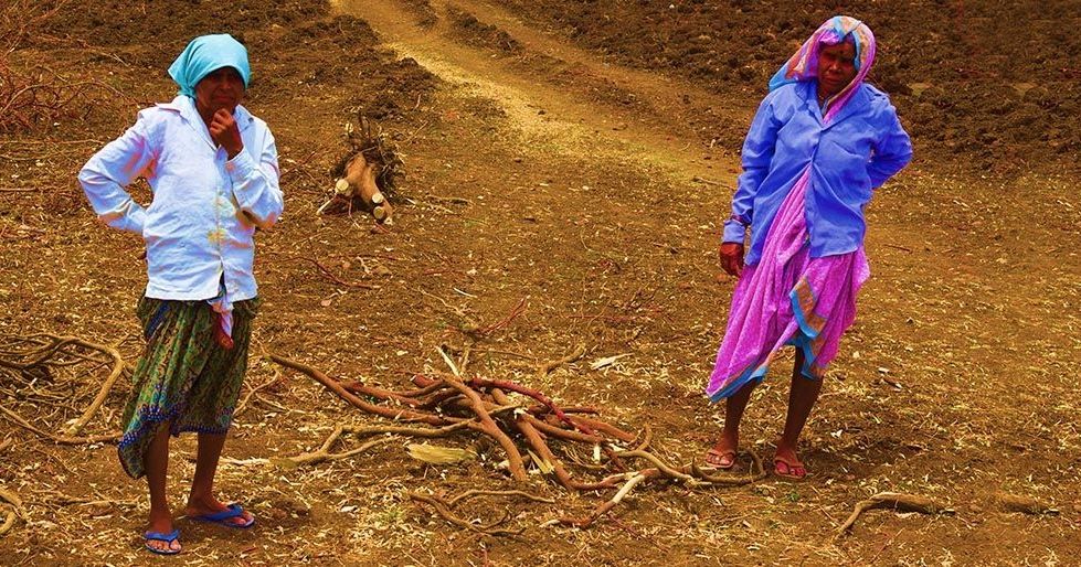 Maharashtra Government Empowers Farmers' Widows, To Get Land Rights ...