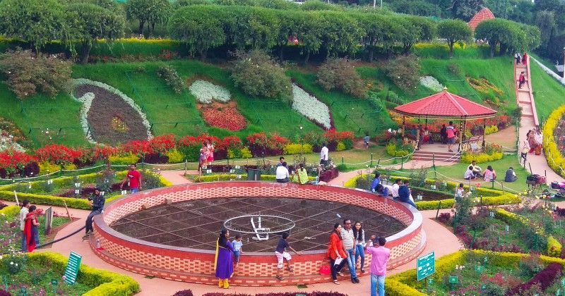 Tamil Nadu Wants A New Road To Ooty To Attract Tourists But At The Expense Of 61 Acres Of Forest