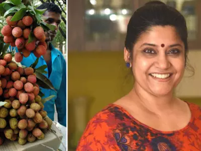 Renuka Shahane comments on Lychee deaths in Muzaffarpur, says the root problem is hunger.