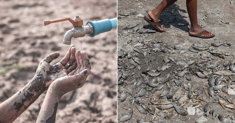 18 Images Show How Severe Water Crisis Has Become In Many Parts Of India